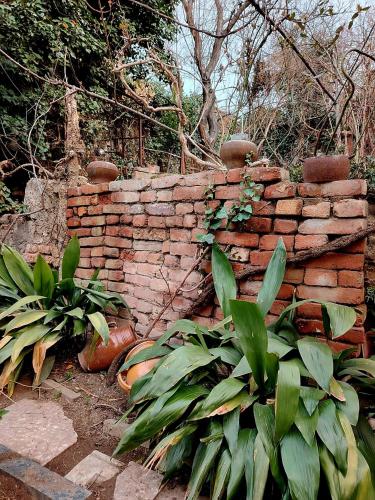 Green Ivy Tbilisi Central Station