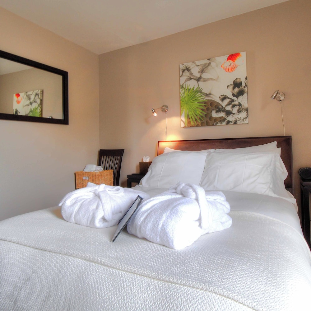 Bird Rock Hotel - photo 22