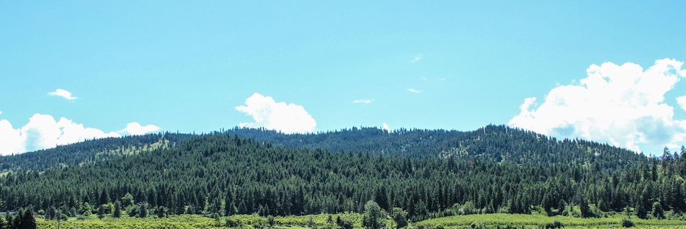 Wedge Mountain Inn - photo 18