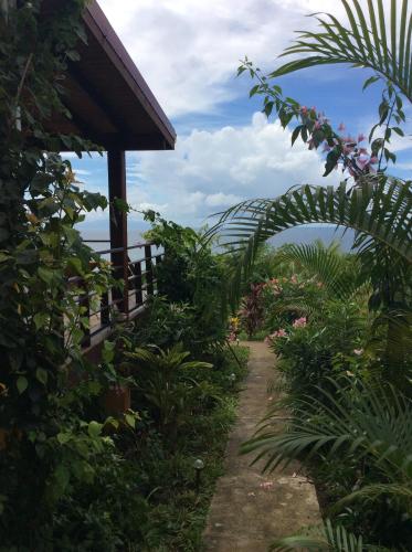 Kaye Mango — Soufriere — photo 5