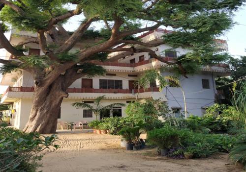 Raghav Resort - last minute hotel in Pushkar
