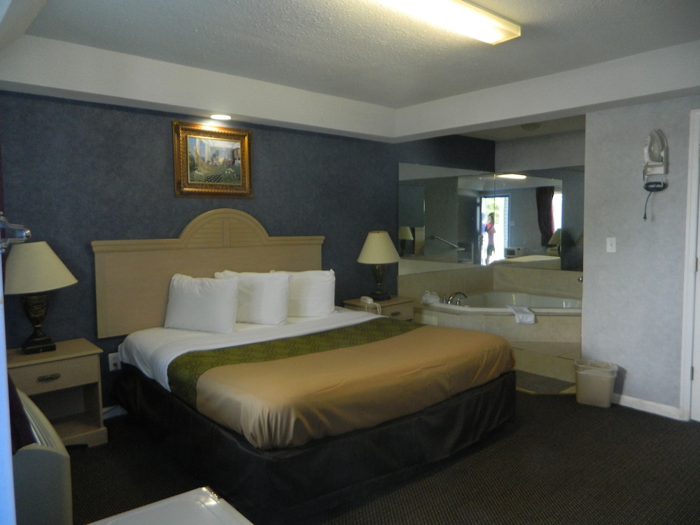 Village Inn and Suites - photo 19
