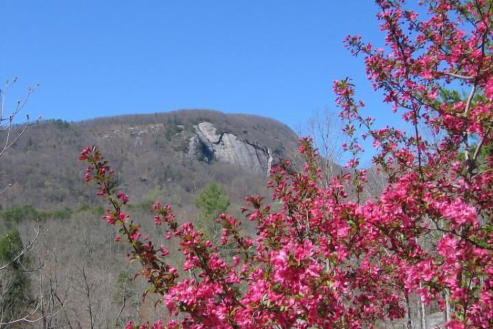 Rumbling Bald Resort - photo 86