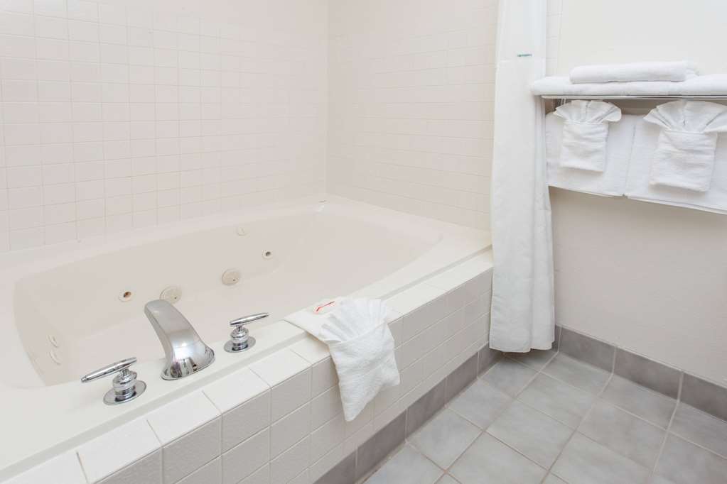 Ramada Limited Decatur - photo 8