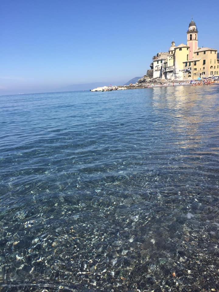 Lamarina in Camogli, Italy