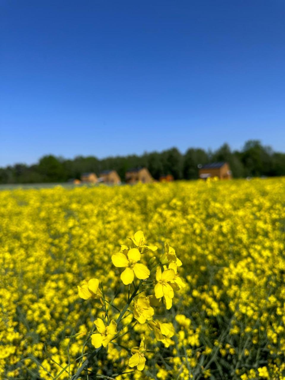 Domek na Roztoczu Sauna & Jacuzzi in Horyniec-Zdroj, Poland
