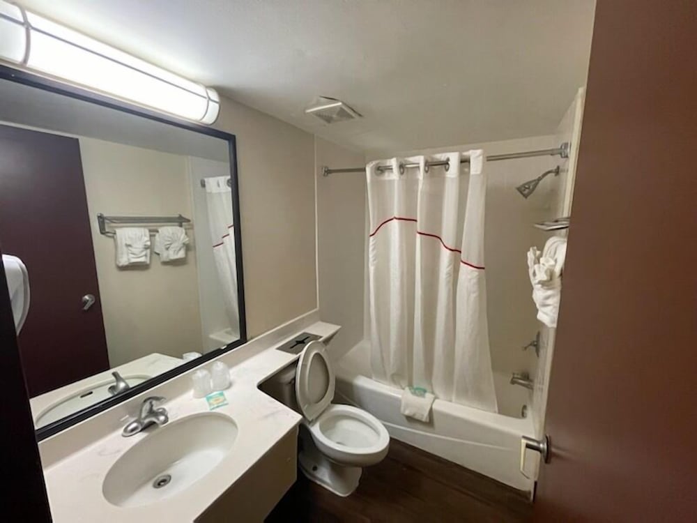 Tropical Palms Hotel - photo 16