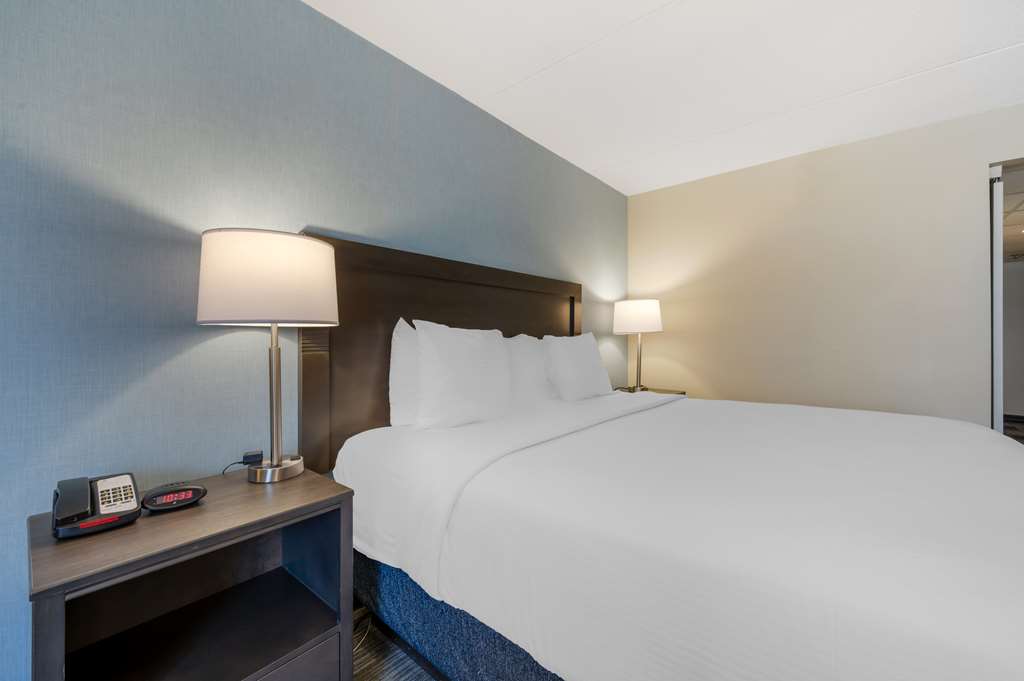 Best Western Plus Alexandria Fort Belvoir - photo 14