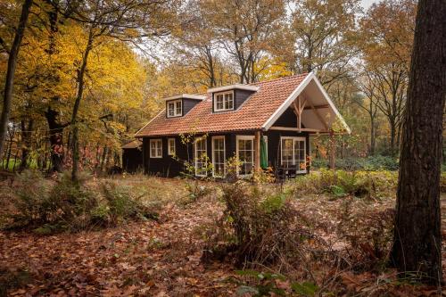 Bos en Heide - last minute hotel in Unknown City