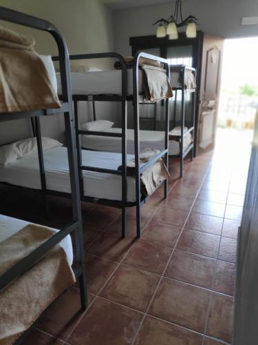 Finca Alarcos — Ciudad Real — photo 3