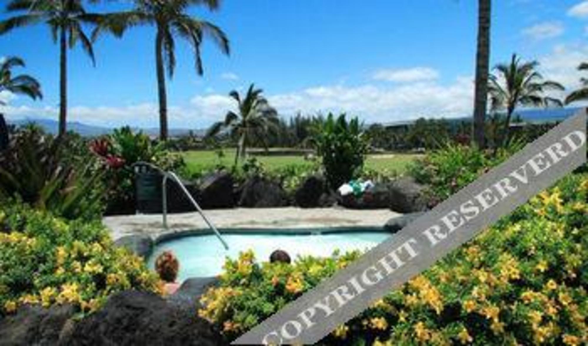 Halii Kai by Hawaii Life Vacations - photo 2