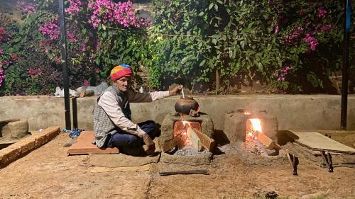 Meladin Sariska — Alwar — photo 5
