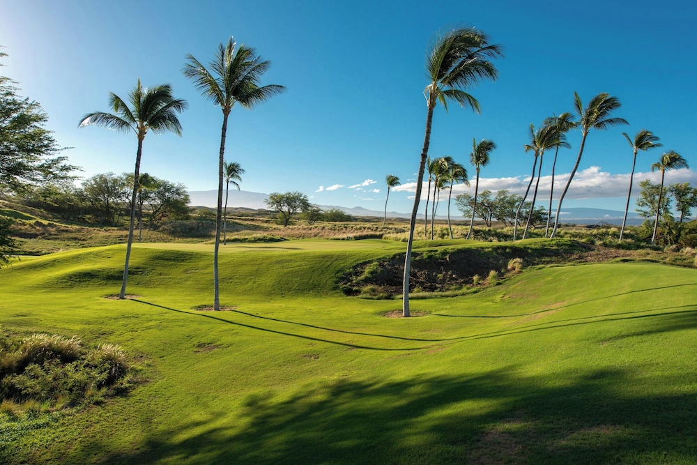 The Westin Hapuna Beach Resort - photo 100