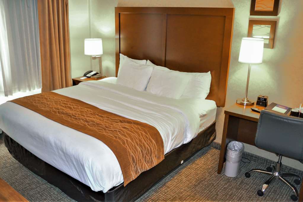 Comfort Inn & Suites Vancouver Downtown City Center - photo 13