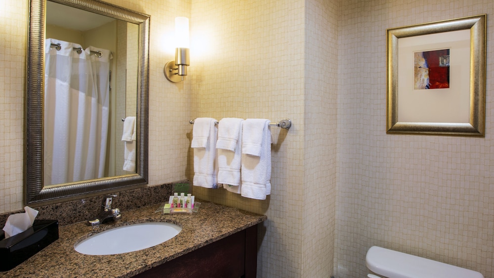 Holiday Inn Oklahoma City Airport by IHG - photo 14