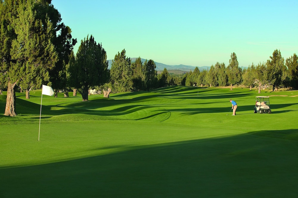 WorldMark Eagle Crest - photo 29