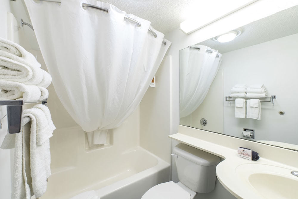 Quality Inn Mount Pleasant - photo 15