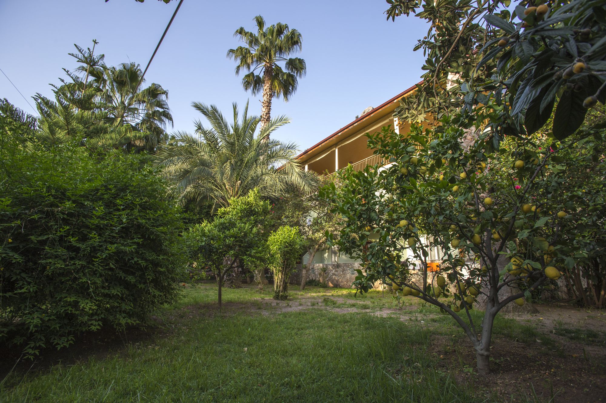 Cirali Hotel - last minute hotel in Kemer