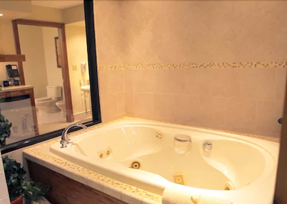 Sybaris Pool Suites Indianapolis - photo 34