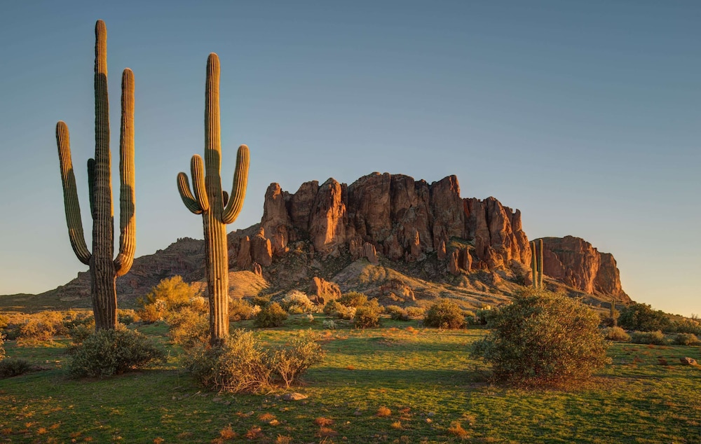 Hilton Garden Inn North Phoenix Scottsdale - photo 32