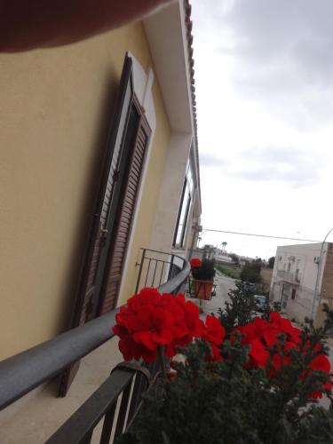 Calliope — Trapani — photo 3