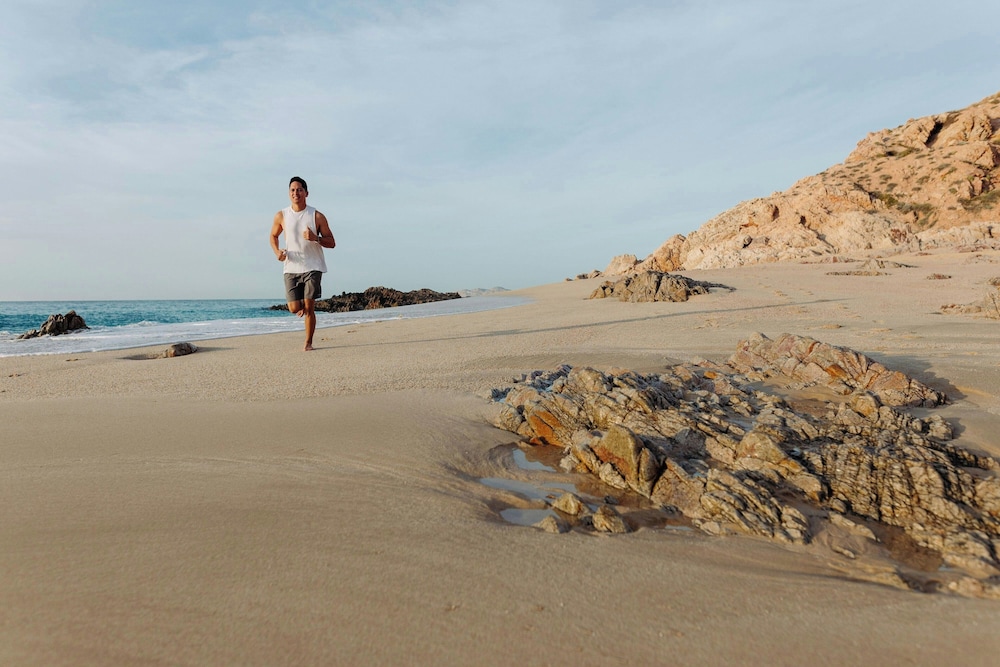 The Westin Los Cabos Resort Villas