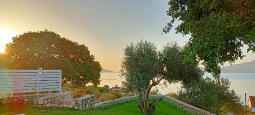 Nerea in Unknown City, Greece