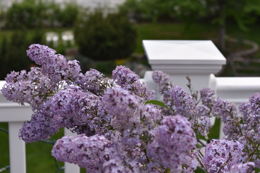 Warm Springs Inn & Winery - photo 121