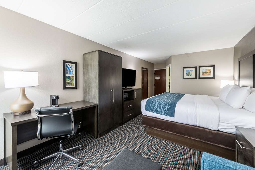 Comfort Inn Chicago Schaumburg O'Hare Airport - photo 11
