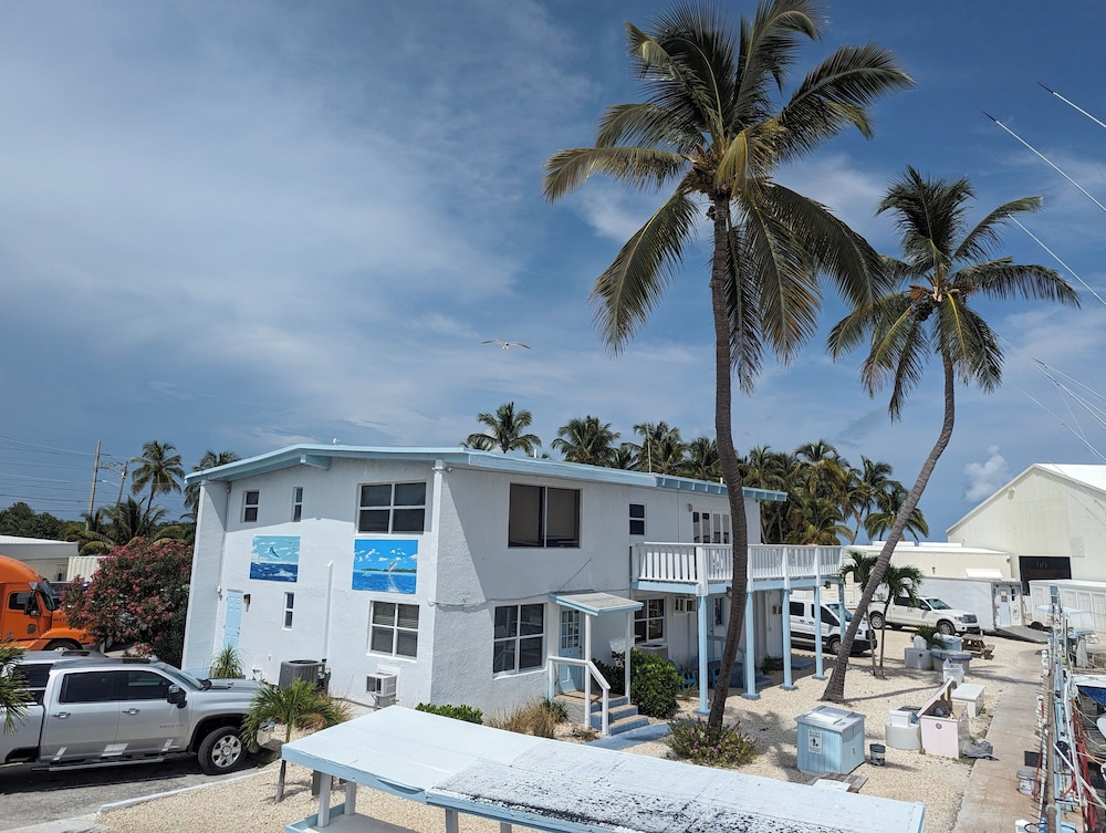 Bud N' Mary's Fishing Marina - photo 11
