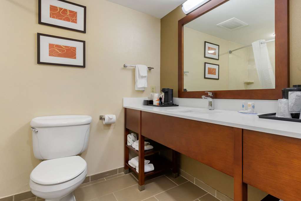 Comfort Inn & Suites Cordele - photo 13