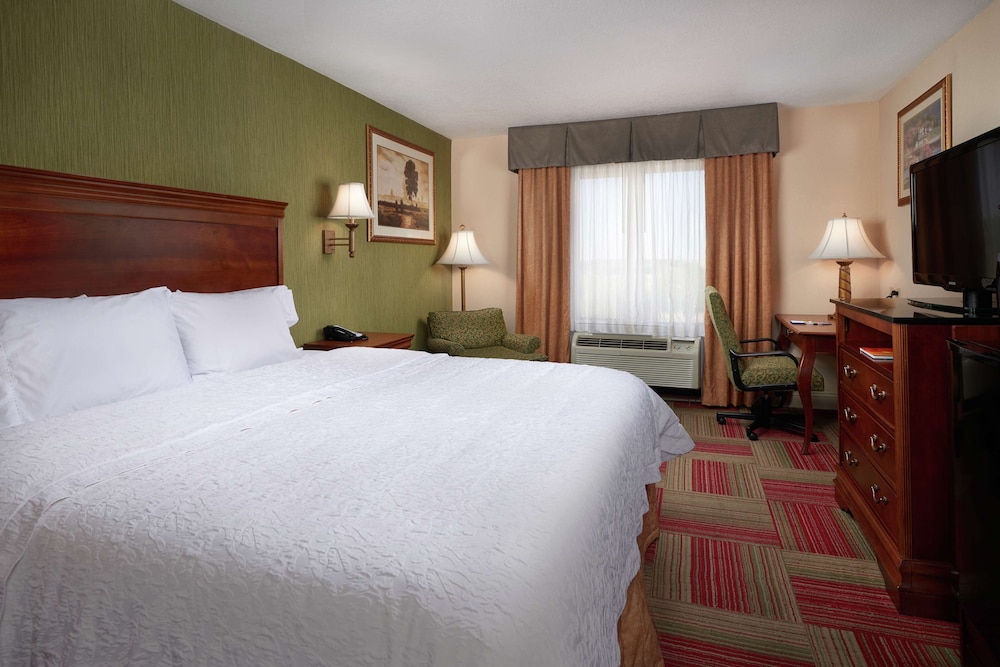 Hampton Inn & Suites Roswell - photo 14