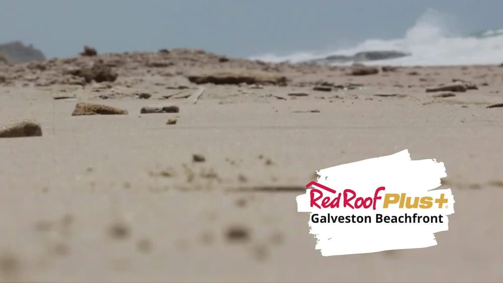 Red Roof PLUS Galveston Beachfront - photo 35