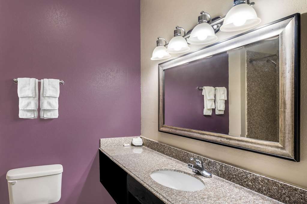 La Quinta Inn & Suites by Wyndham Canton MS - photo 23