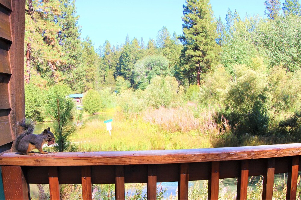 Crater Lake Resort - photo 114