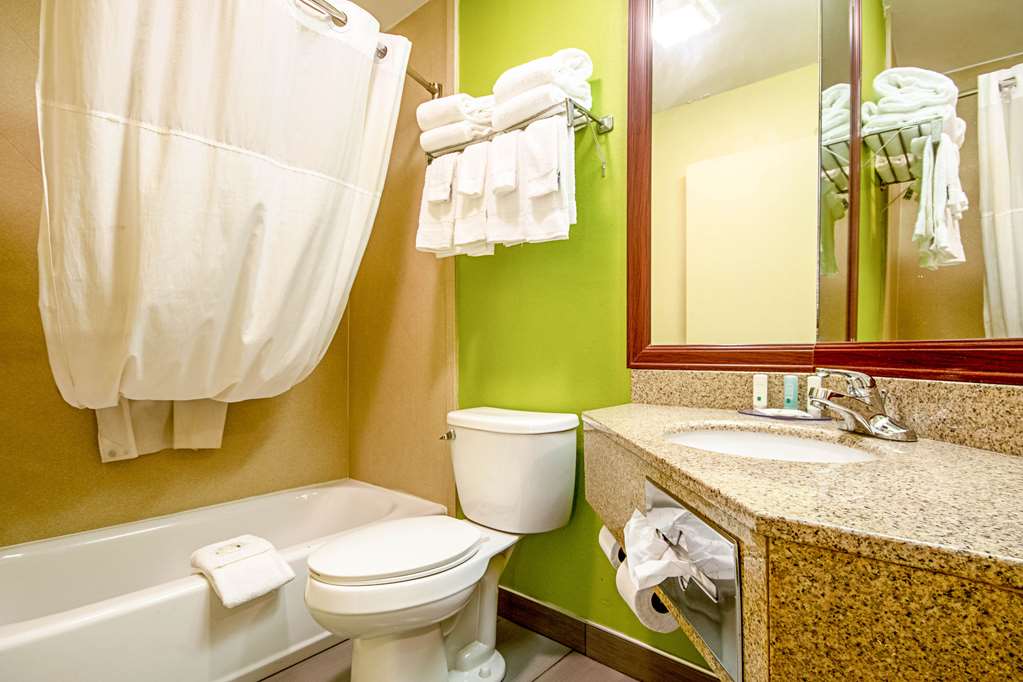 Quality Inn & Suites Glenmont Albany South - photo 25