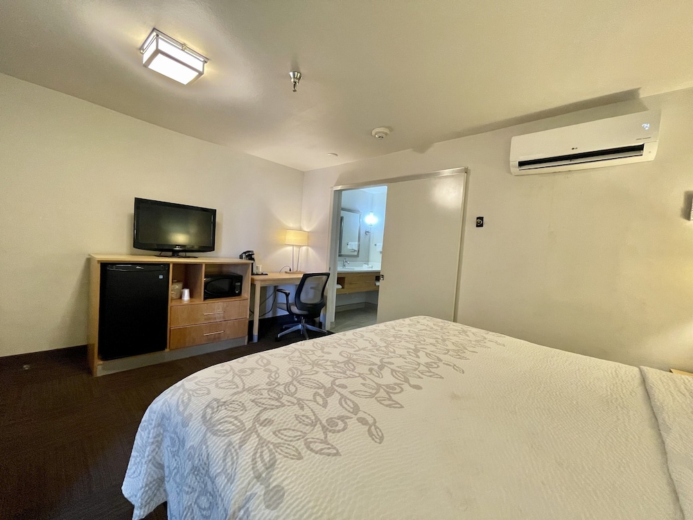 Red Roof Inn PLUS & Suites Tampa - photo 8