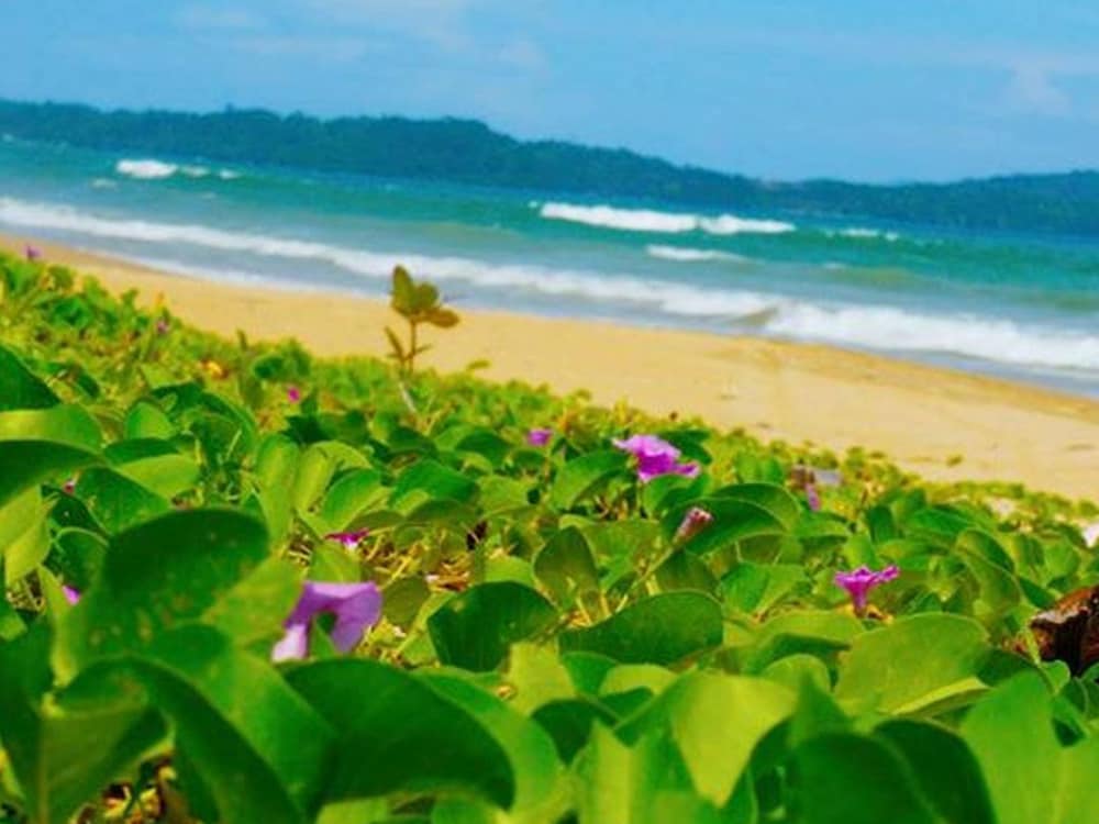 JuRiSu Resort in San Vicente, Philippines