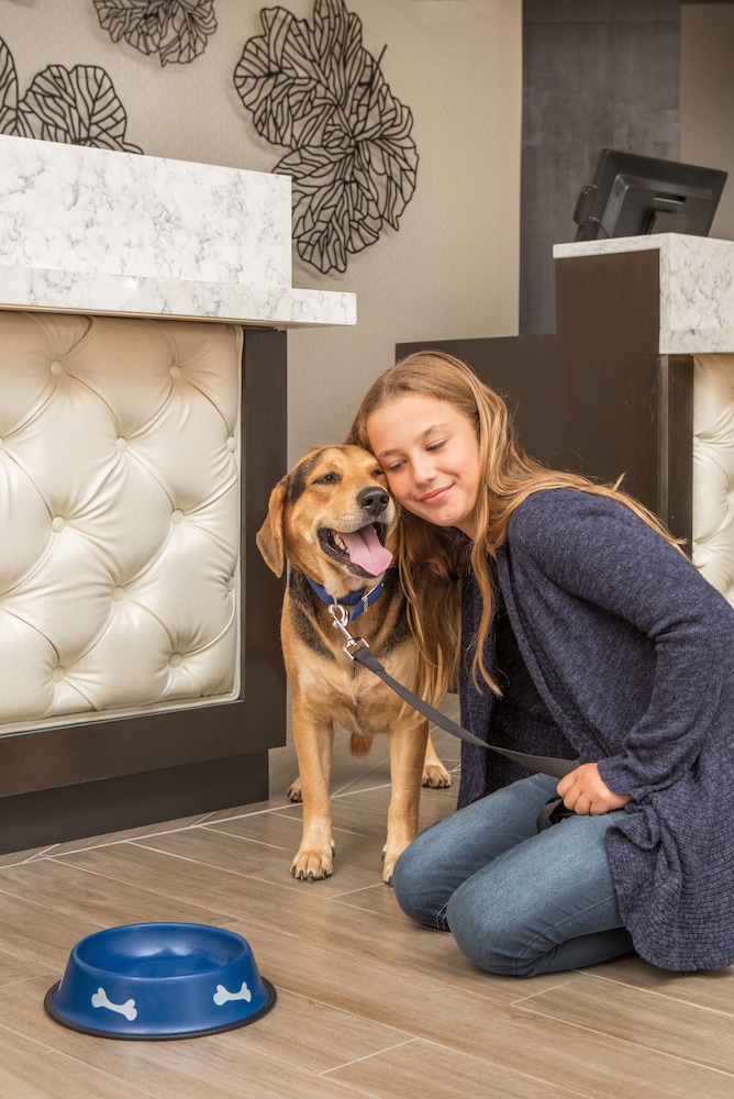 Hilton Wilmington Christiana - photo 3