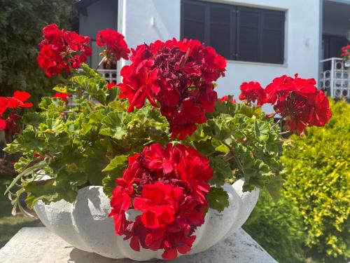 Apartman Mia — 4-Star Luxury Hotel in Vukovar, Croatia