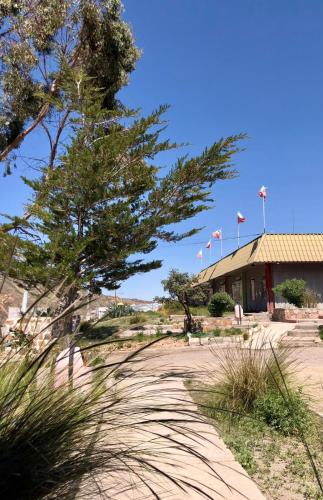 Hotel Las Vicunas — Putre — photo 4