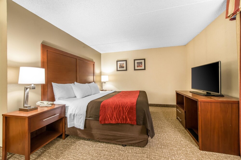 Comfort Inn & Suites Denver Northfield - photo 24