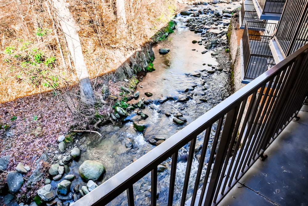 Bear Creek Inn - photo 53