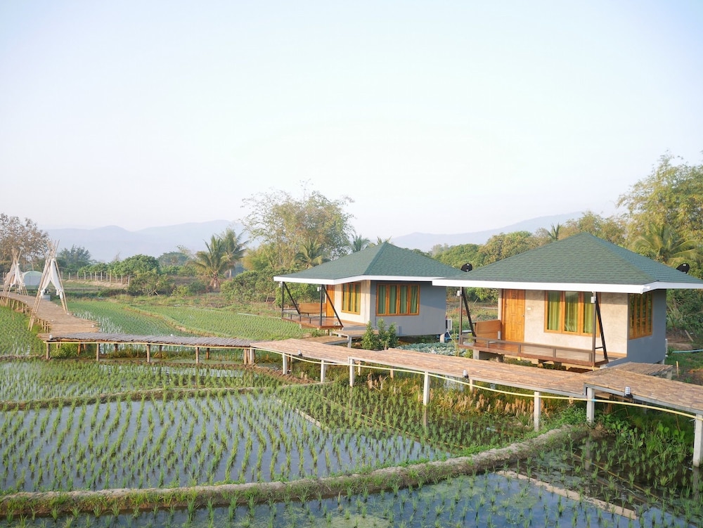 Nok Chan Mee Na in Chom Thong, Thailand