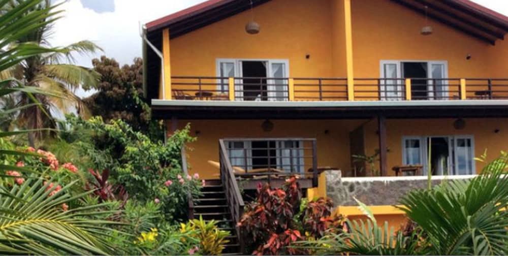 Kaye Mango in Choiseul, Saint Lucia