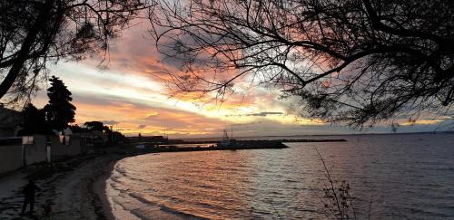 Cathymini a Sete in Sete, France