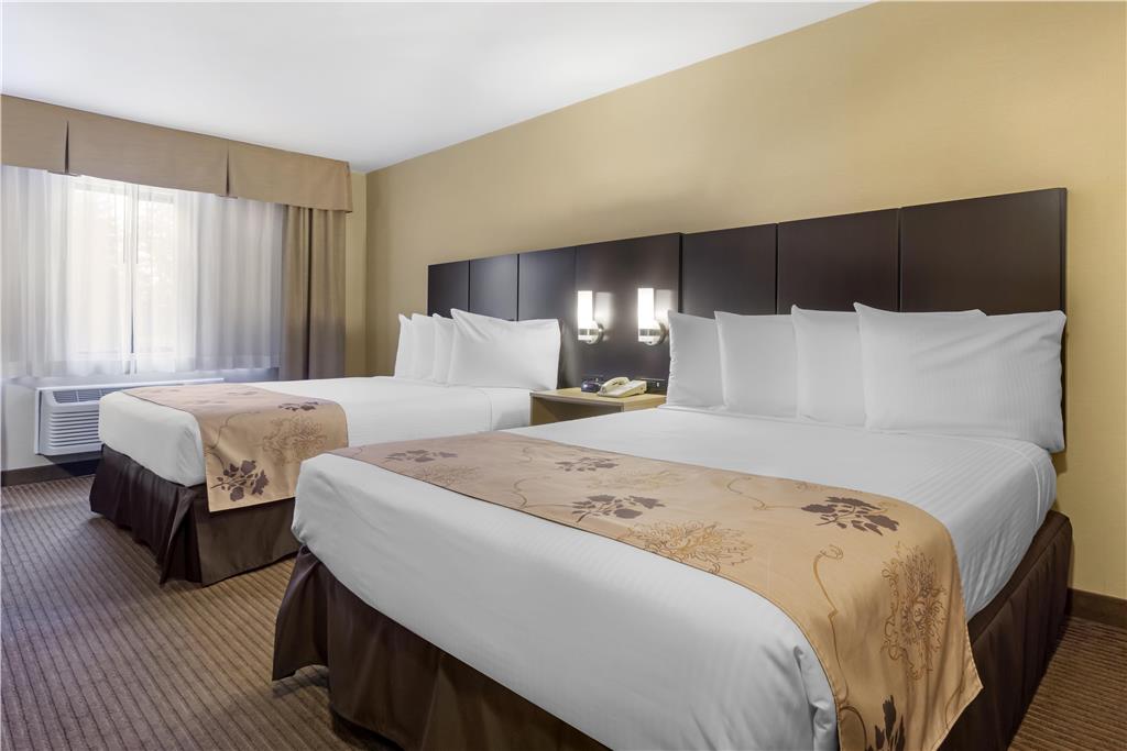 Best Western Seattle Airport Hotel - photo 4