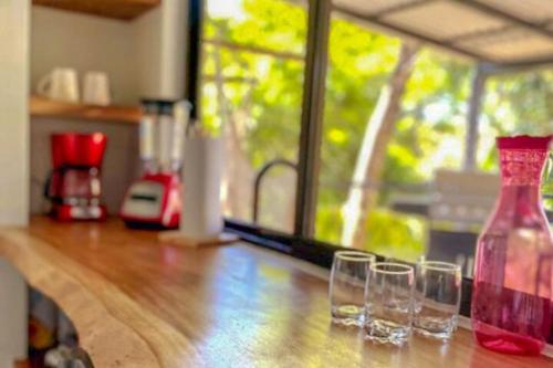 Invictus in Puntarenas, Costa Rica