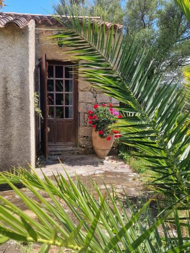U Cipressu - last minute hotel in Unknown City
