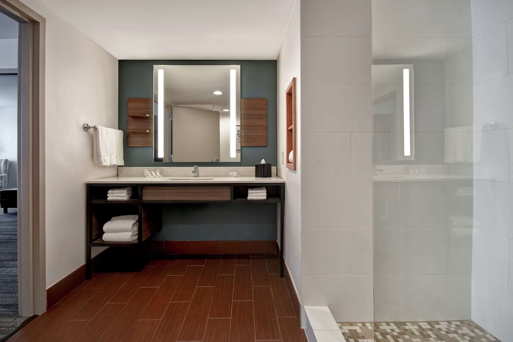 Hilton Garden Inn Houston Galleria Area - photo 24